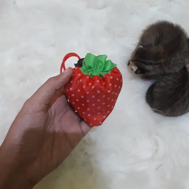 Travelmate Tas Belanja Serbaguna Lipat Strawberry Baggu Bag Bisa Jadi Besar