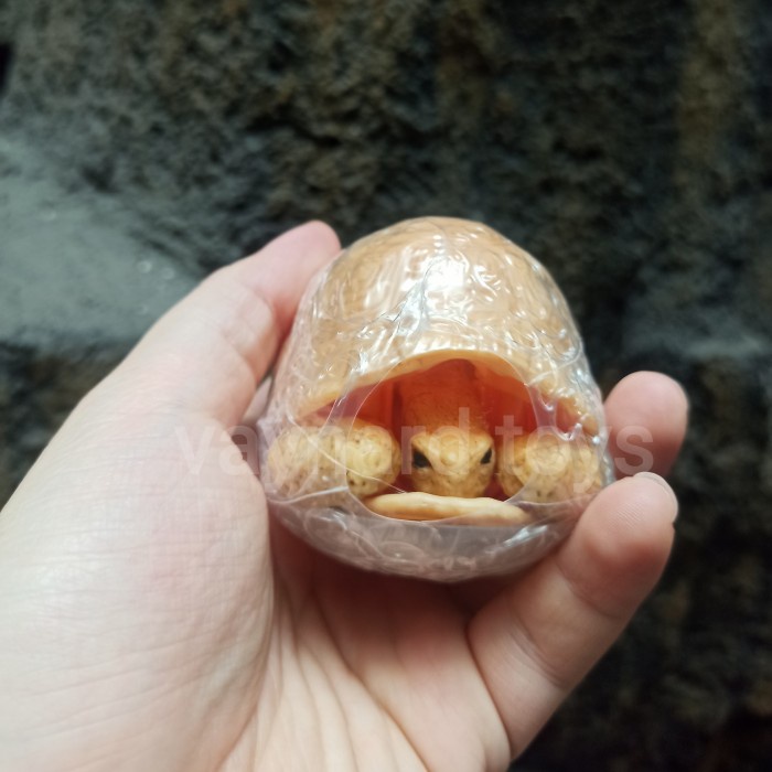 Promo Yellow Arab Greek Tortoise Gashapon Figure Dango Mushi Turtle Terlaris