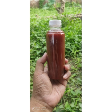 PSB Potosintesis bakteri