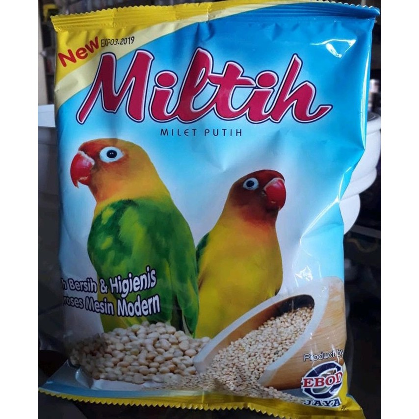 Miltih Milet Putih Pakan Burung Lovebird
