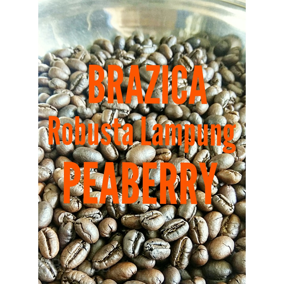 

Kopi Robusta Lampung PEABERRY 250 gram "BRAZICA" (Biji/Bubuk) - kkp267