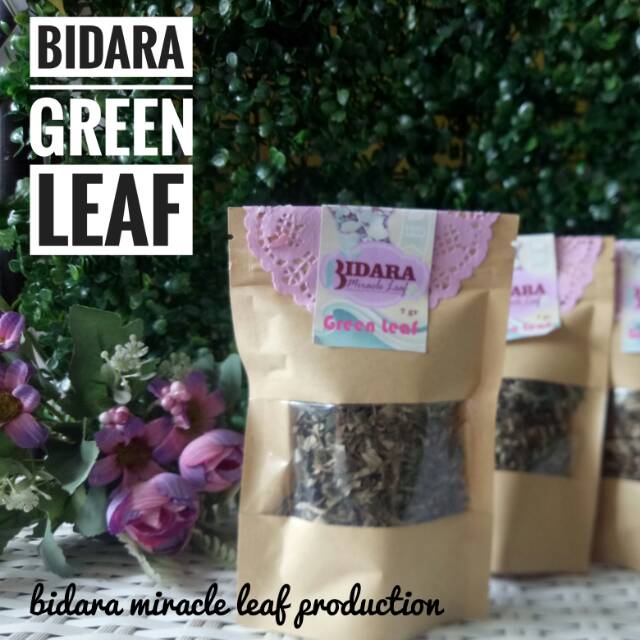 

Green leaf bidara