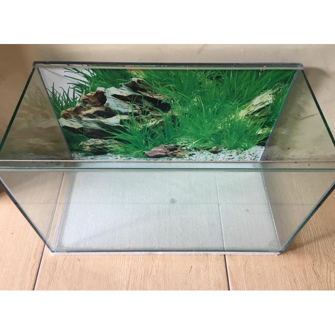 Unduh 7500 Background Aquarium Dengan Styrofoam Terbaik