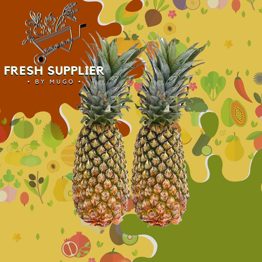 

Nanas Palembang Super 1 Pcs Fresh Supplier
