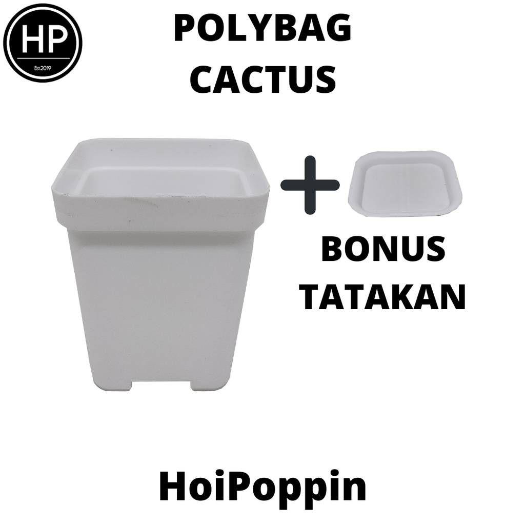 HPP - Polybag (Putih)- cactus polybag - pot cactus - pot elastis - pot dan tatakan - pot - pot hias