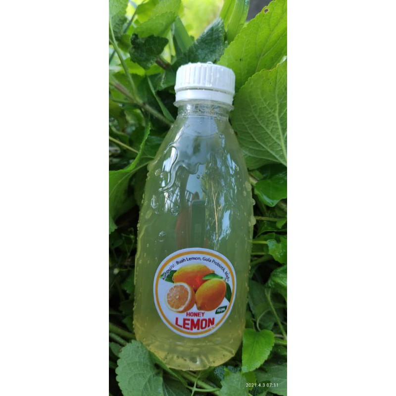 

MINUMAN HONEY MELON ORIGINAL TANPA PENGAWET