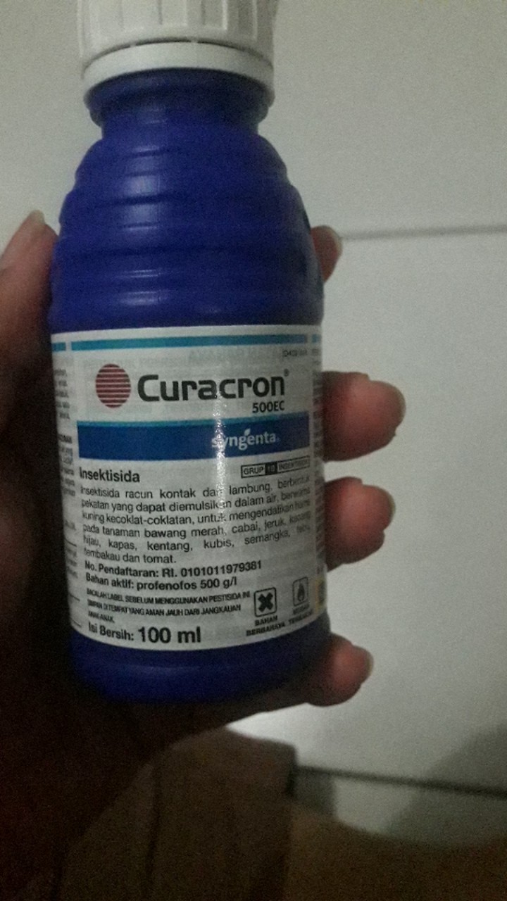 Insektisida Pembasmi Hama Ulat Curacron 500 Ec Original Kemasan 100 Ml