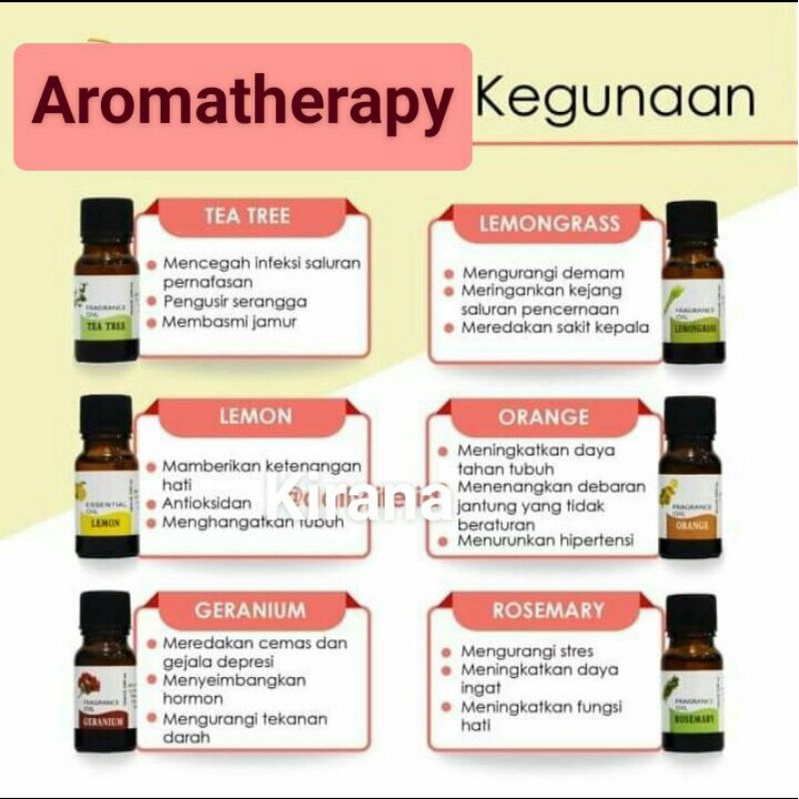 Essential Oil Aromatherapy 10 mili Penyegar dan Pengharum Ruangan