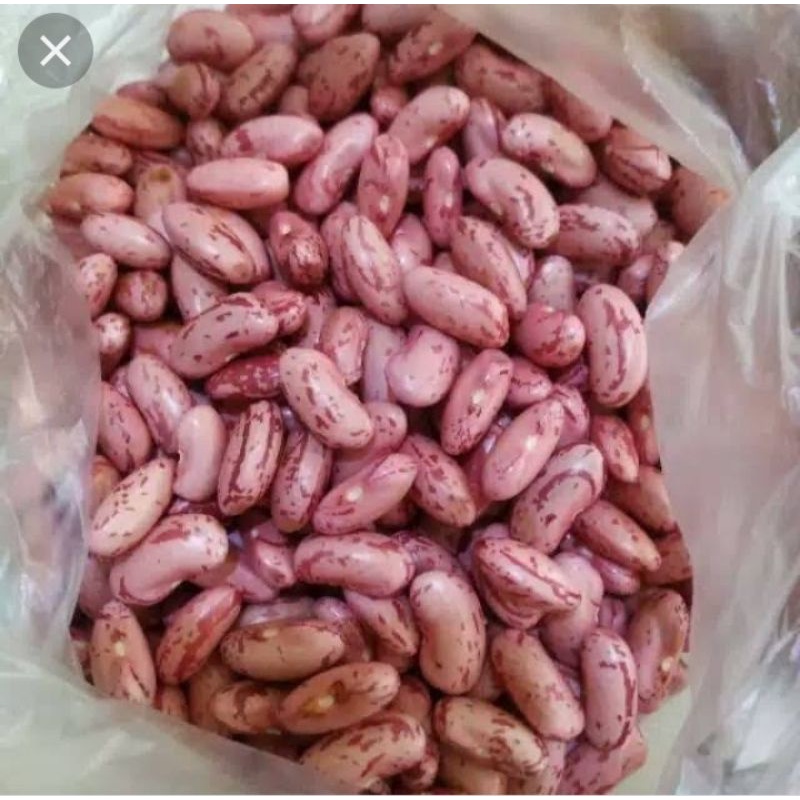

kacang merah /sayuran segar