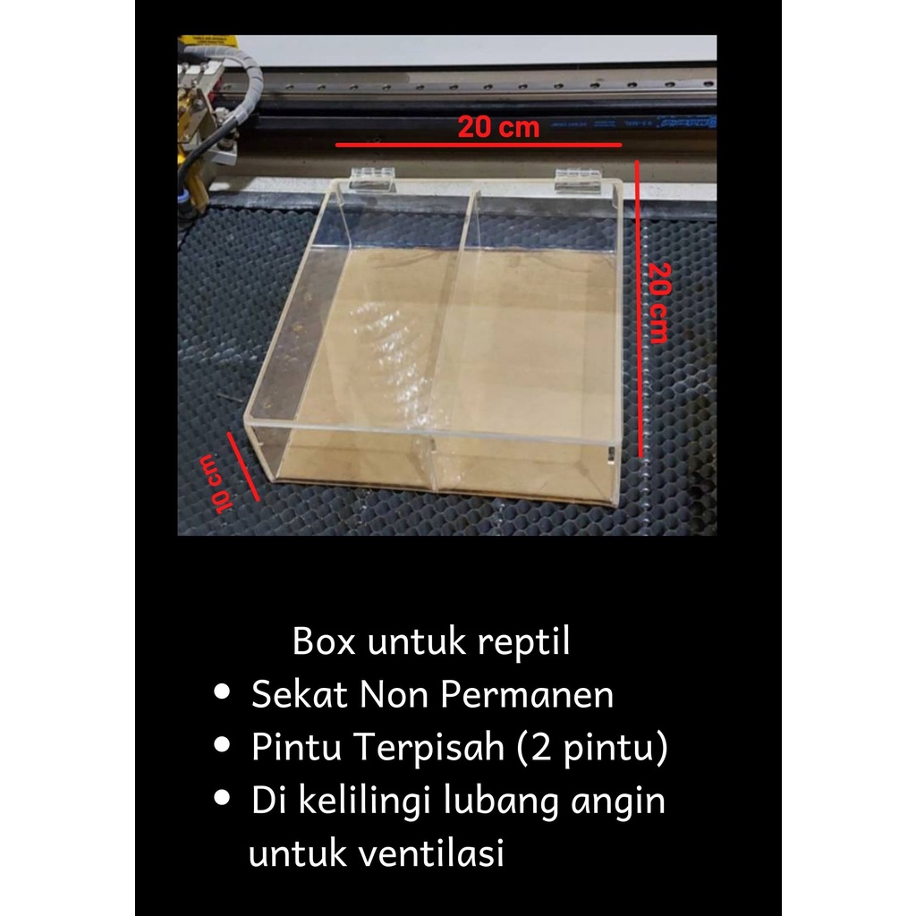 Box Reptil Akrilik CUSTOM