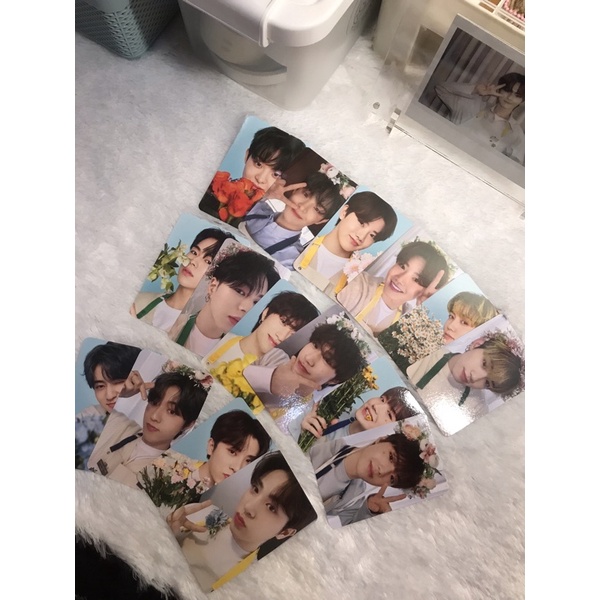 tincase blooming treasure