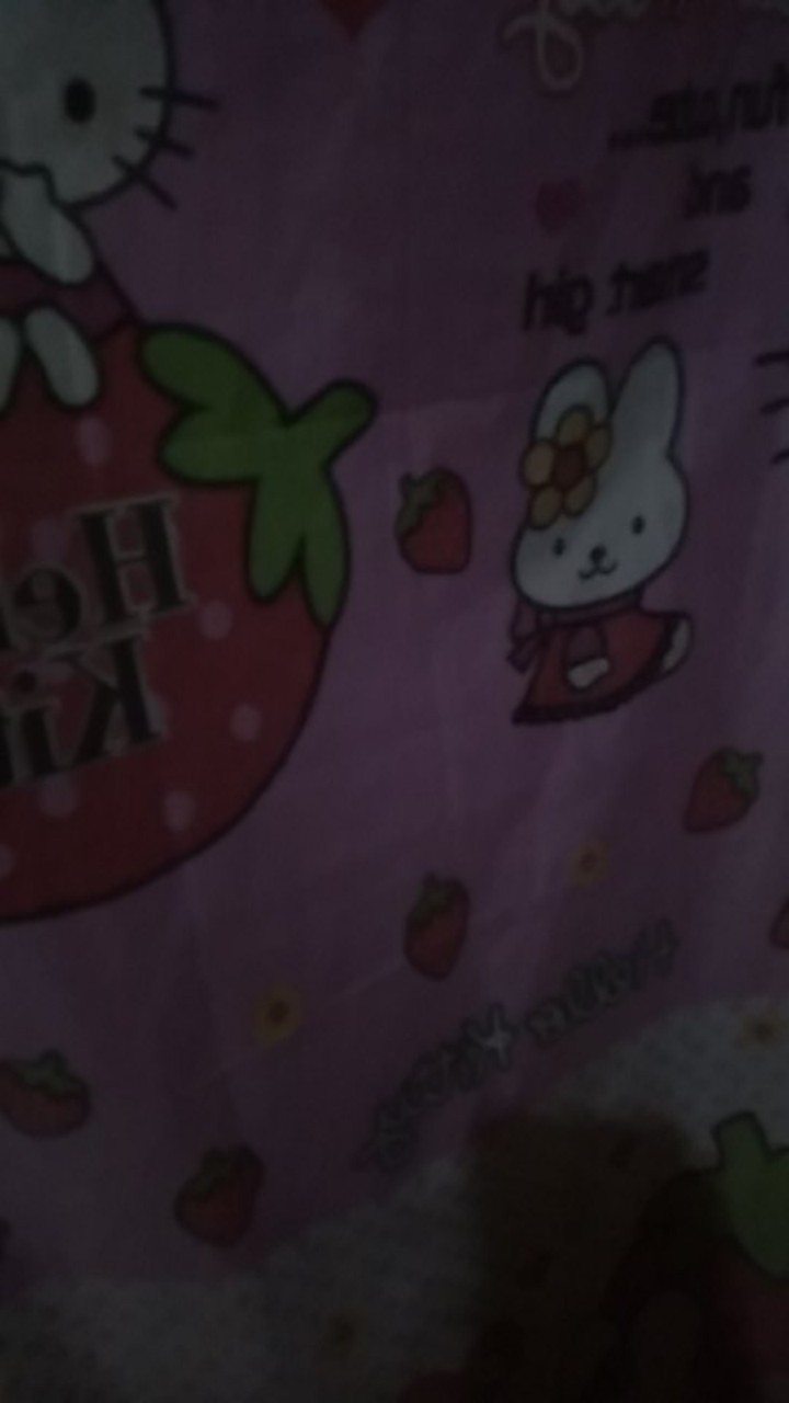 Gorden  Gordeng Pintu Karakter Doraemon Dan Keropi