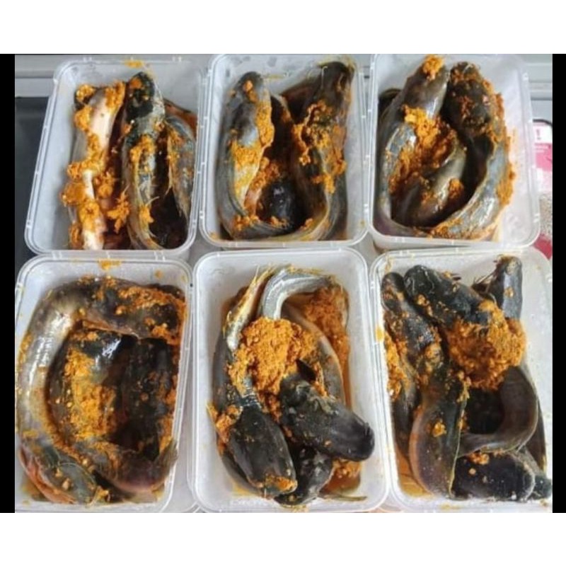 

Lele Bumbu kuning Siap Goreng / lauk instan ikan lele frozen food bogor lauk anak kos