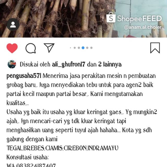 

Tebu es /tebu untuk penjual es sari tebu