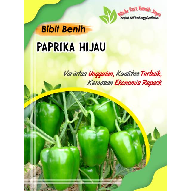 Benih bibit paprika hijau unggulan - bibit sayuran paprika