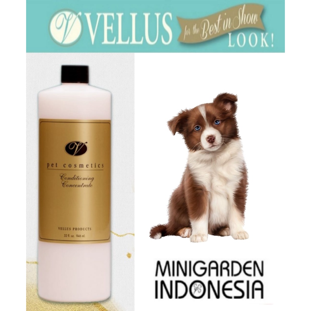 VELLUS SHOW CONDITIONING CONCENTRATE 355ML conditioner anjing kucing 12oz pelembut bulu hewan