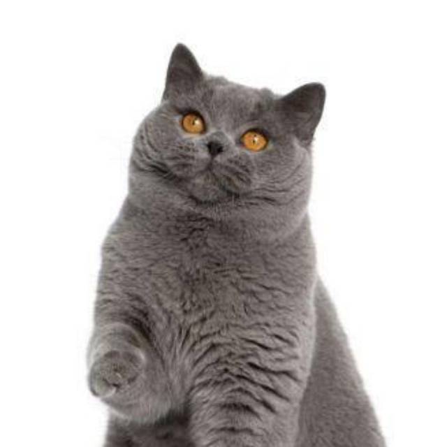 suryananda_padmadinata