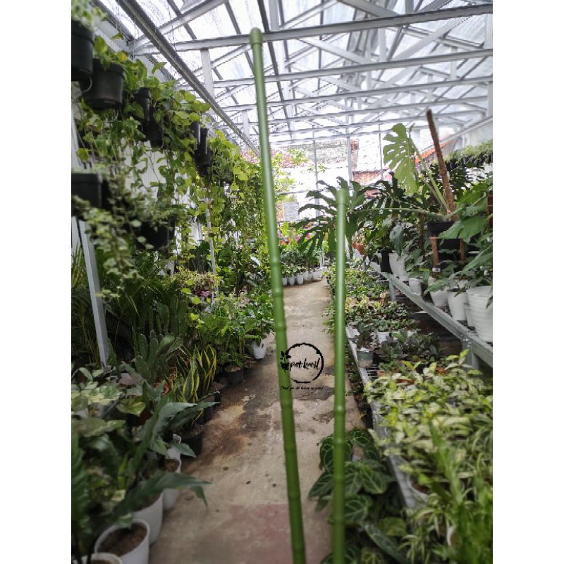 Turus Besi 150 cm / Tiang Rambatan Tanaman 150 cm / Planting Stake
