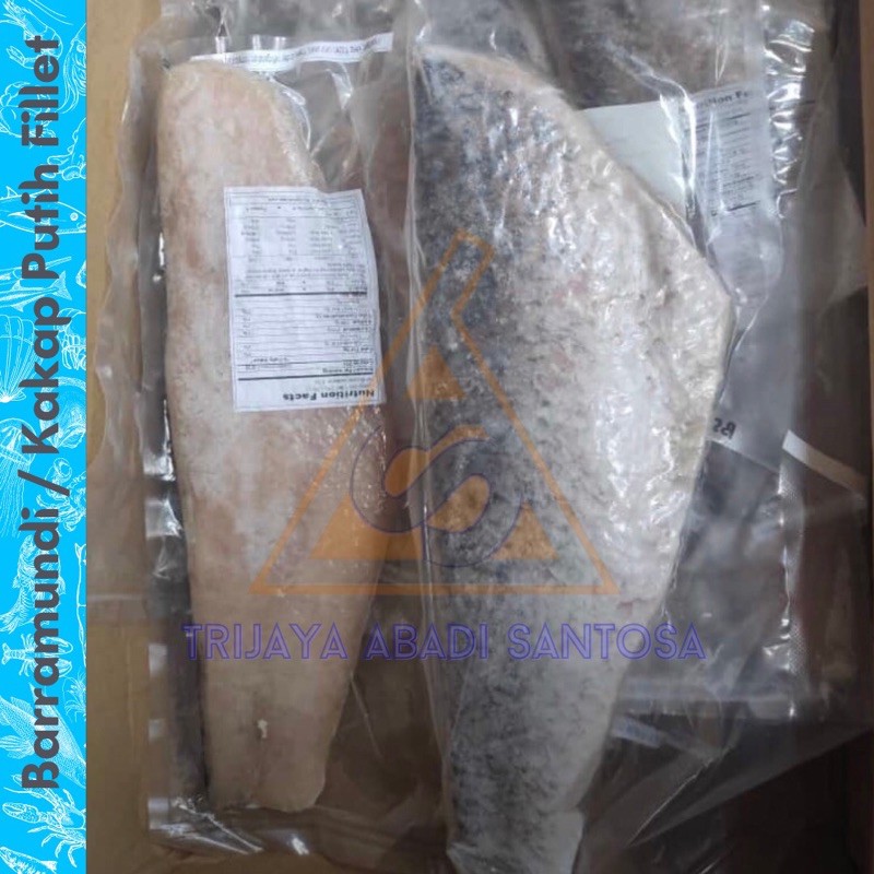 Barramundi / Baramundi / Kakap Putih Fillet 1 Kg