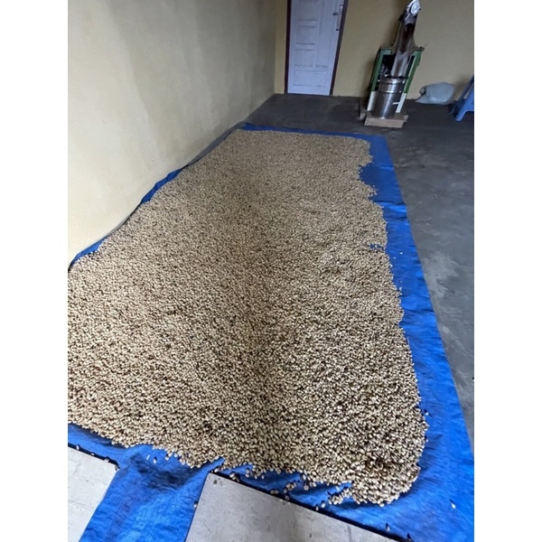 

Biji Kopi Robusta Semendo Grade 1