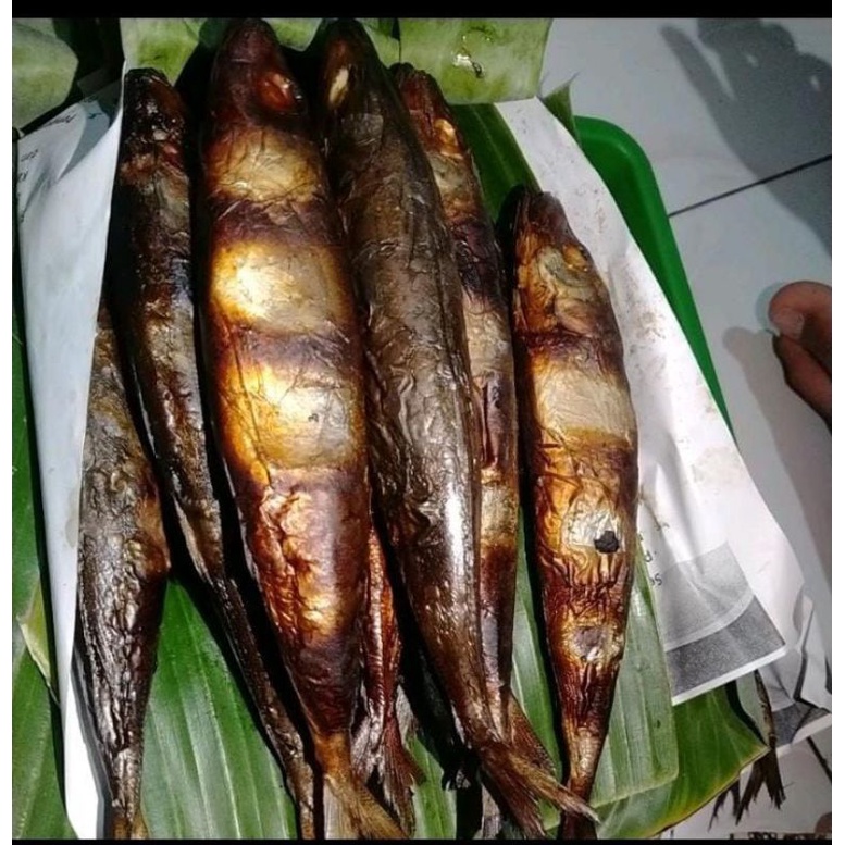 

Ikan asap/ikan panggang pekalongan/asli pekalongan harga 3pcs