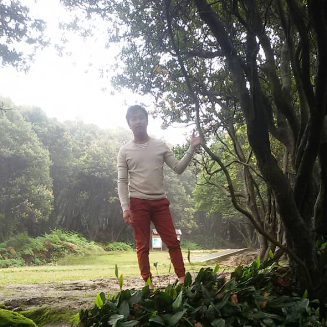 dotty_fernandez