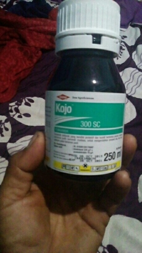 Fungisida Kojo 300ec 250ml