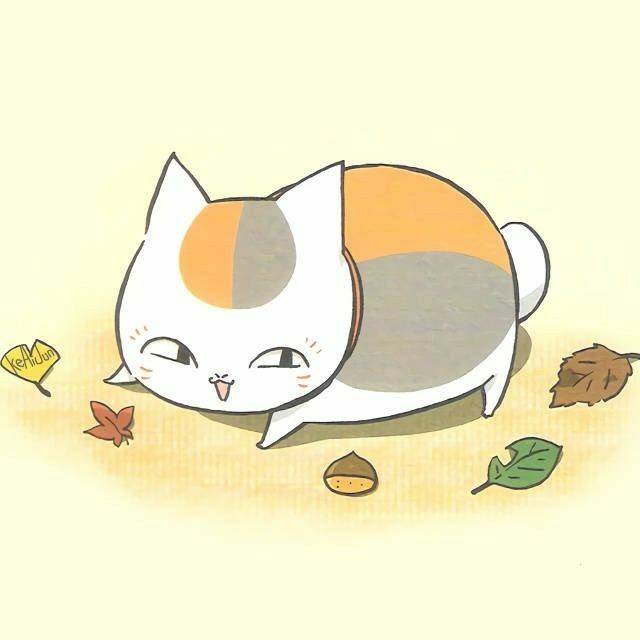 hanifahaddin