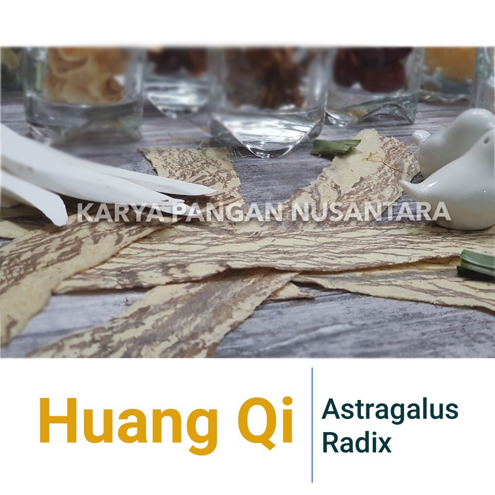 

Huang Qi - Astragalus Radix - Huang Qi Premium - Pak Khi - Pei Chi