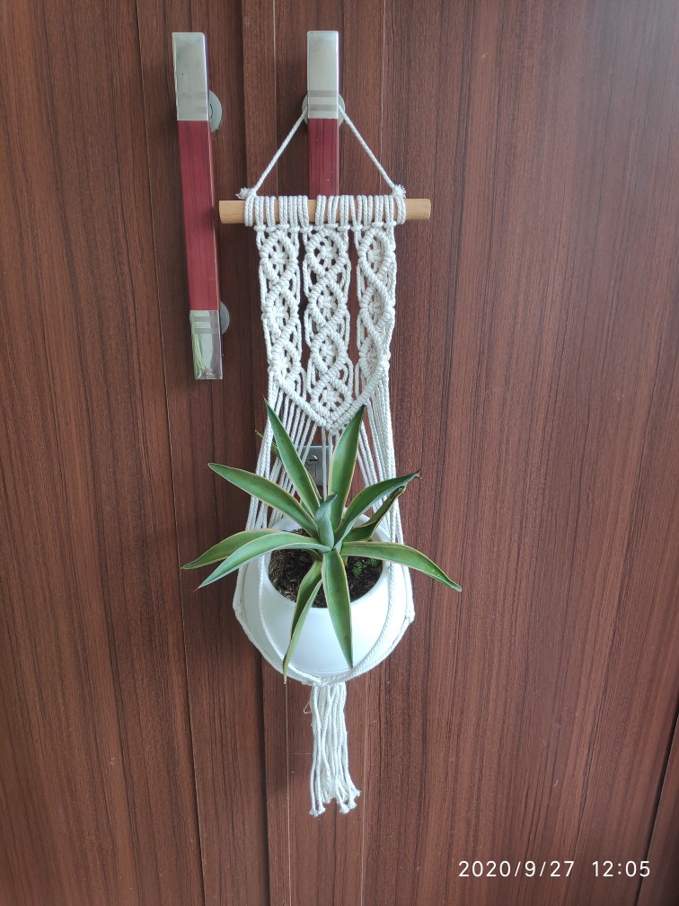 Macrame / Plants Hunger /wall Hinging /gantungan Pot / Wall Decor /hiasan Dinding