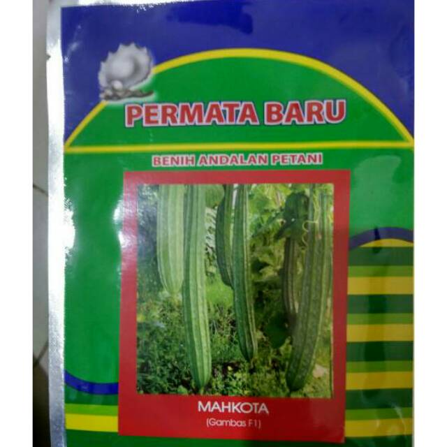 Benih Oyong Mahkota F1-Bibit Oyong Mahkota (Gambas F1) / Benih Gambas