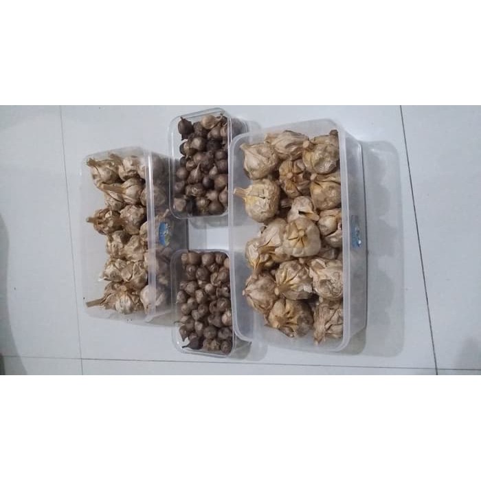 

Black Garlic 1 Kg Agen Murah