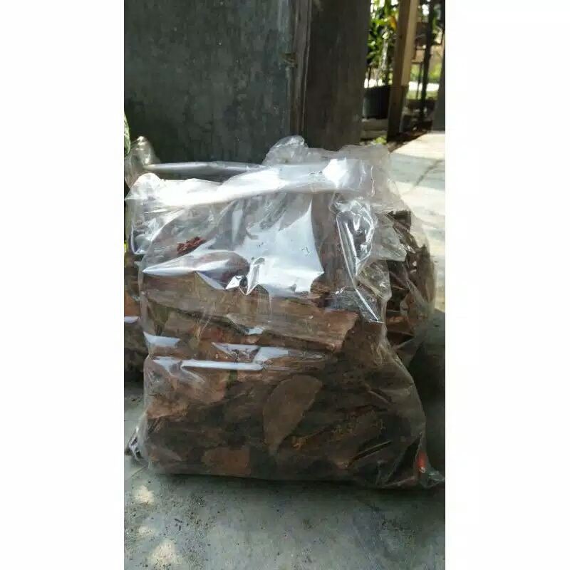 

kulit pinus