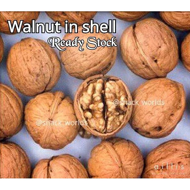 

DISKON! Walnut in shell (kulit) original (plain/tawar) termurah
