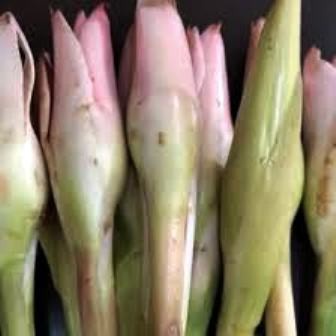 

KECOMBRANG 1KG