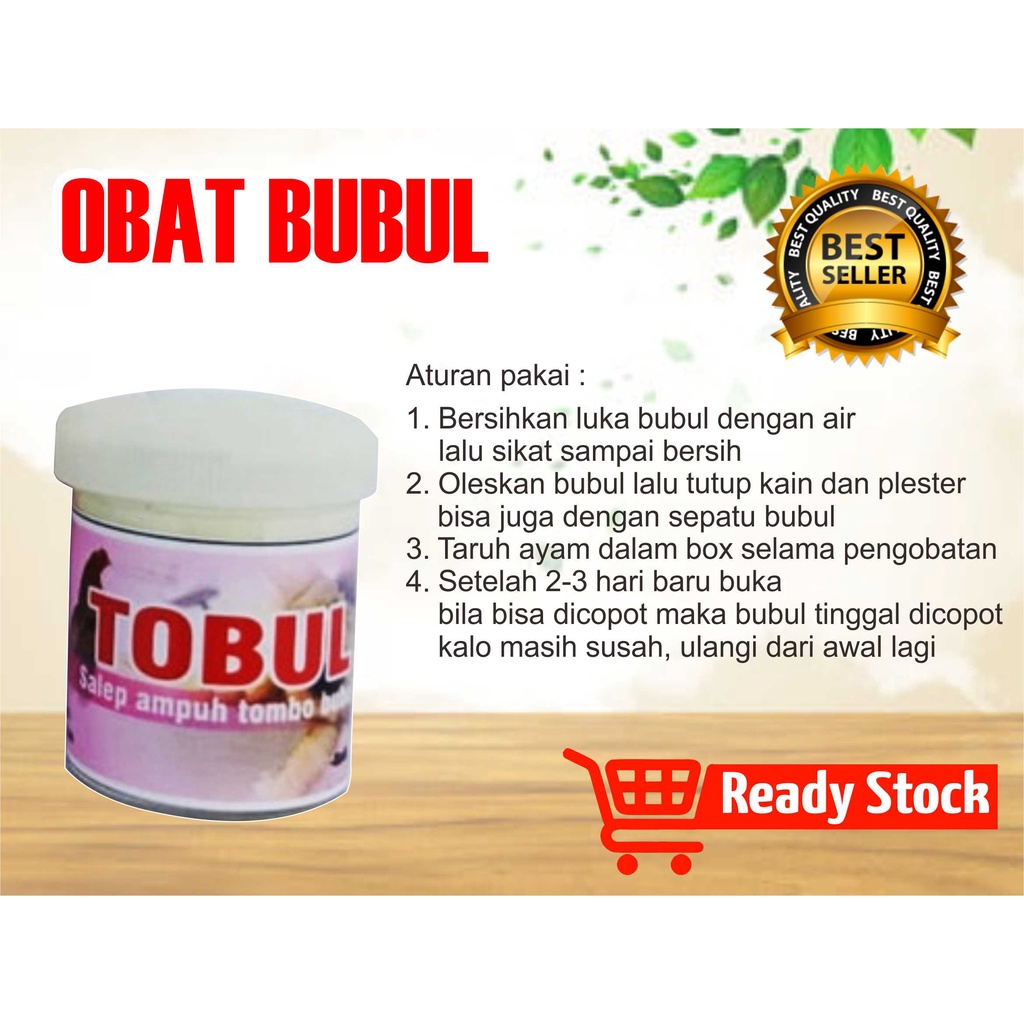 

obat bubul ayam tobul