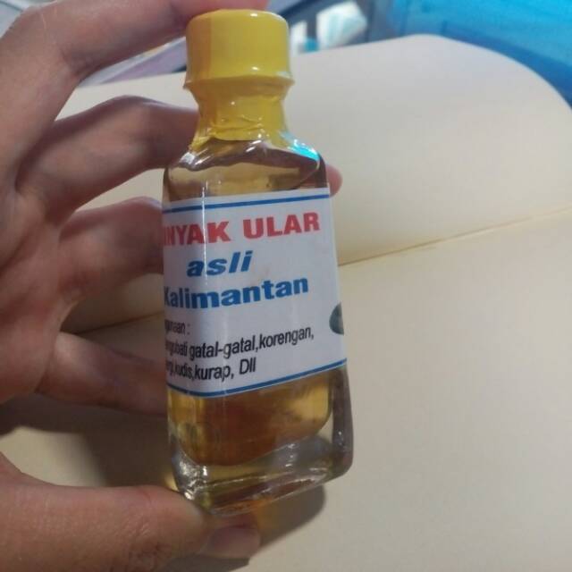 Minyak Ular Asli Kalimantan | Minyak ular | Minyak ular kobra | minyak ular Kalimantan | Herbal miny