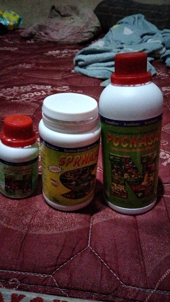 Paket Pupuk Budidaya Karet Organik. Agen Nasa Ori Kemang