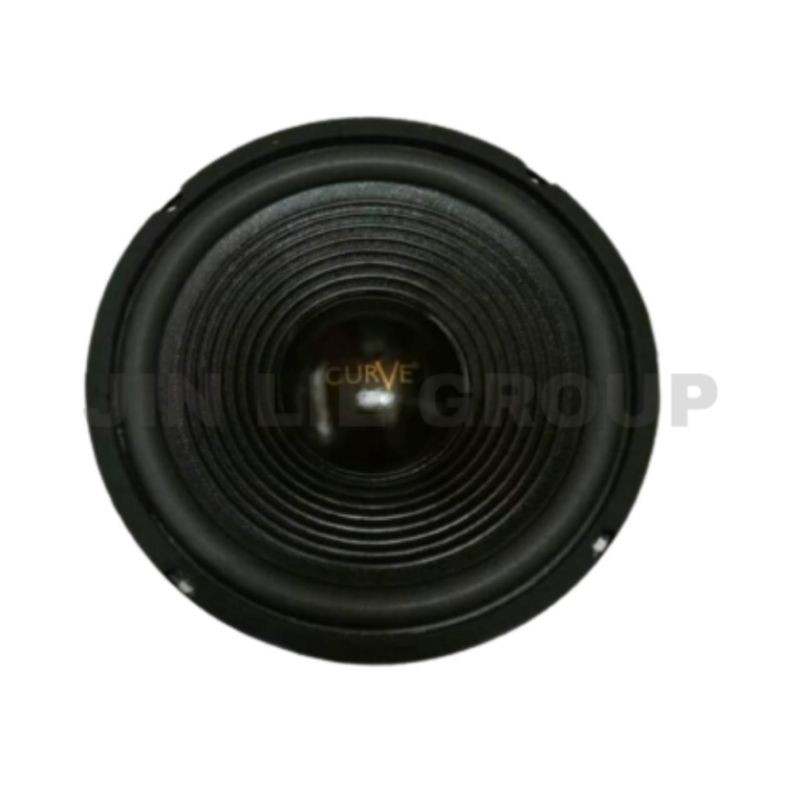 SPEAKER CURVE 10 INCH WOOFER 300 WATT