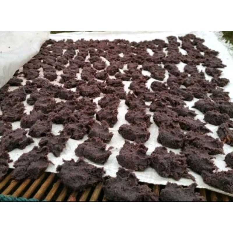 

terasi rebon asli
