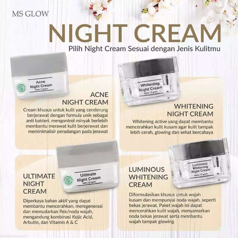 ACNE NIGHT CREAM MS GLOW/ CREAM MALAM MS GLOW ORIGINAL