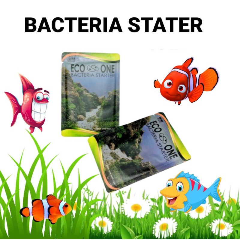 ECO ONE BACTERIA STATER