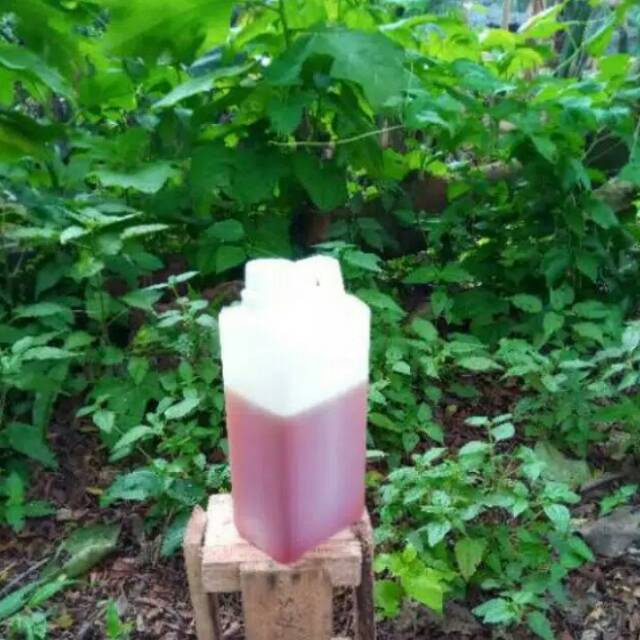 

MADU MURNI ORIGiNAL 100%