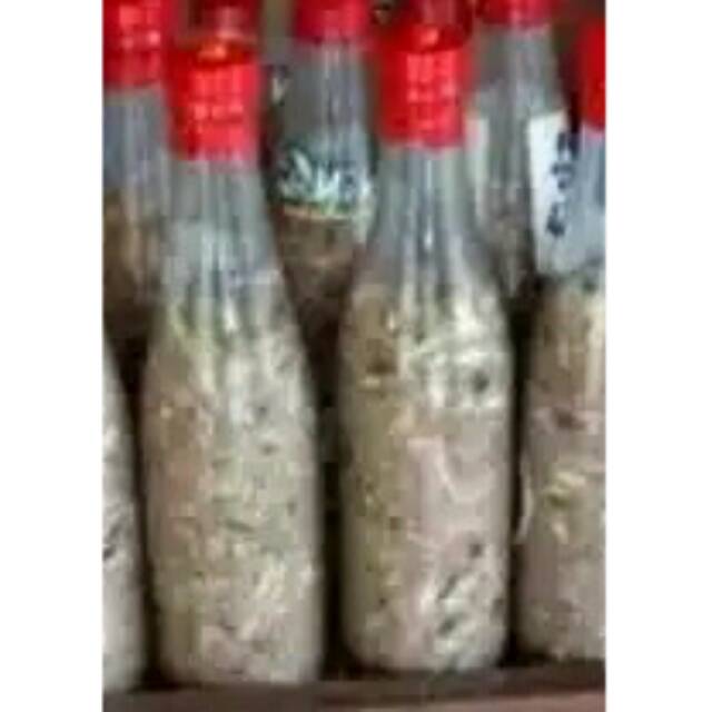 

Rusip khas palembang