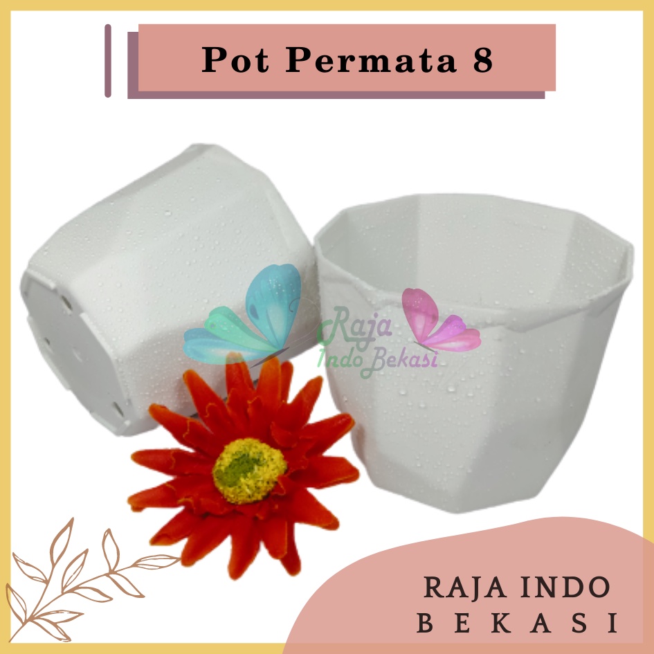 Pot Permata 8CM Putih By Garden Of Love Pot 8 Cm Putih Pot Plastik Kaktus Mini Lucu Murah Grosir