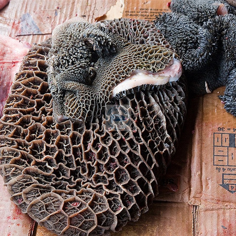 

Babat Sapi / Babat Hitam ( Beef Black Triple Calf Offal )