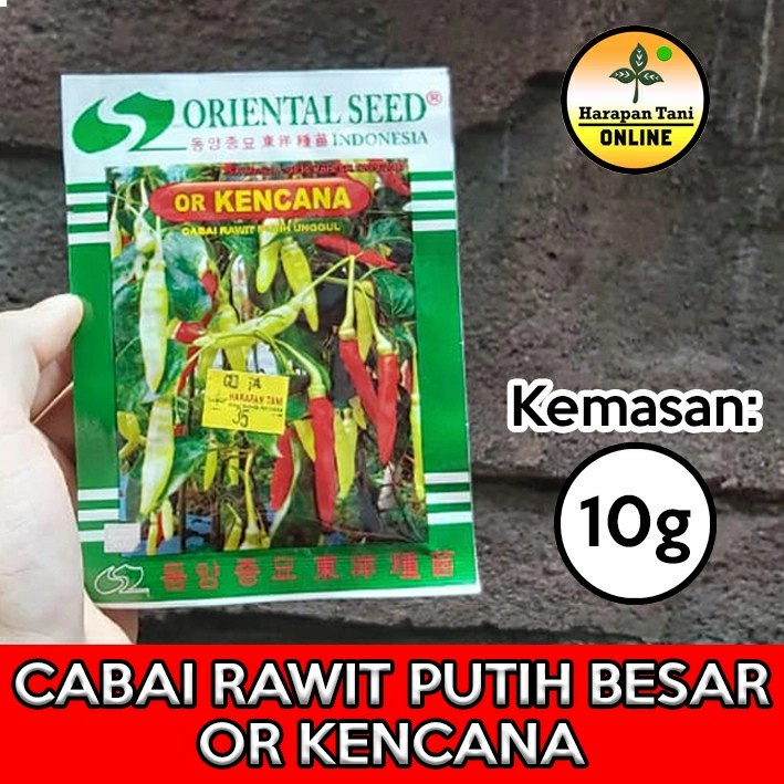 OR Kencana 10g | Cabai Rawit Putih Besar | Oriental Seed