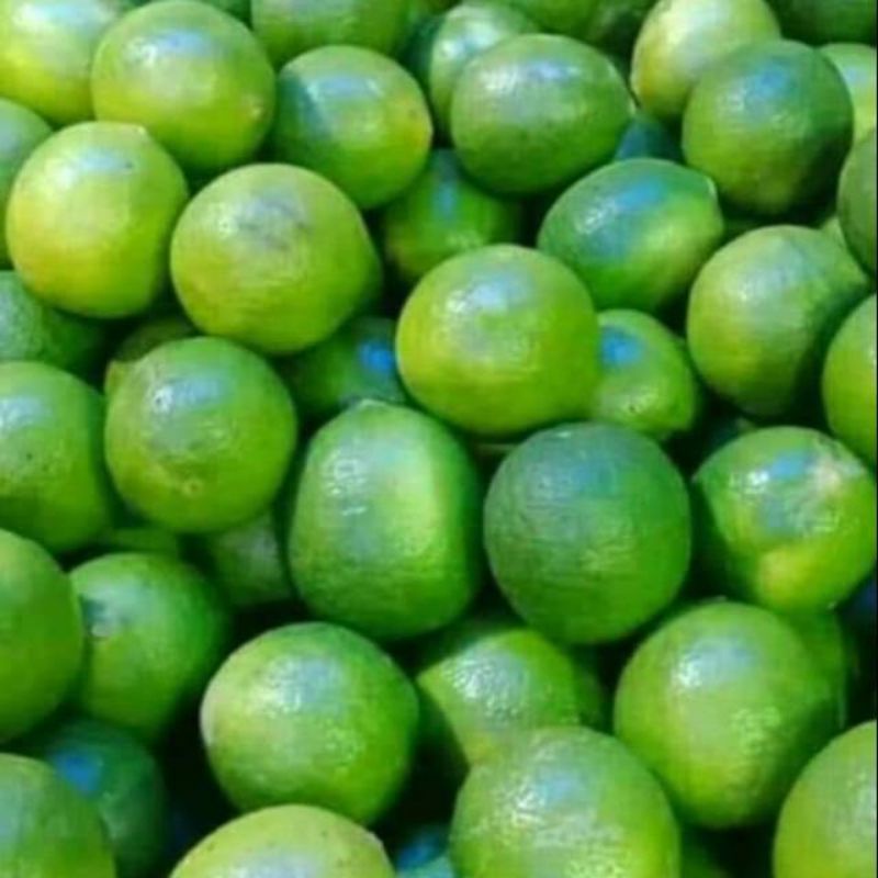 

Jeruk Nipis 500 gram