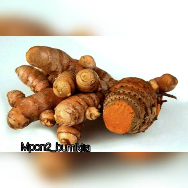 

Temulawak Segar 250 gr bersih tanpa tanah