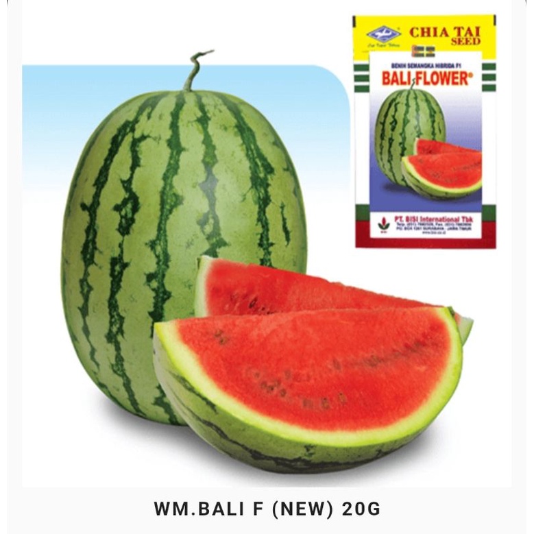 Semangka Bali Flower 20gr